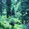 Villa ??astn� Kopec Vila ?. 56