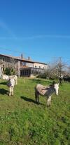 Agroturismo Turismo Rural El Piensu