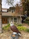 Kern River Home