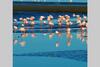 Apartamento Arabia`s Loft II Nuevo Portil