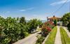 Apartman Maledi