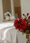 Hostal Villa Antonio