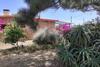 Casa de Playa En Guazuvira Nuevo