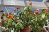 Apartamento Basic In B�zios Kitnets