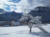 River Cottage Mojstrana