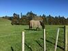 Hostal Veld View Bed And Breakfast