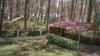 Villa Shekvetili Big Wonder