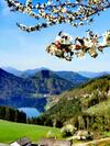 Apartamento Ferienwohnung Buder