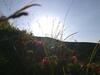 Apartamento Herbst Wohnerlebnis