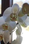 Ferienhaus Gro�alber