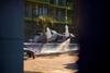 Aqua Vista 1br Apartment Spa Pool Alezzi Beach Resort
