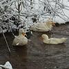 Bed & Breakfast Auverg'nature Chambre Auvergnate