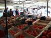 Joli Mazet St Tropez