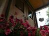 L'authentique Roulotte