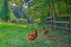 Apartamento Rustic Farm Stay In A Hendersonville Studio!