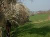 Bed & Breakfast Villa Bretonne