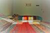 Agroturismo Loire Valley Llama Farm Stay
