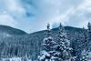 Modern Winter Park Home Less Than 5 Mi To Ski Slopes!