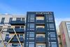 A Denver Skyline State Of Mind - Espadin Lohi
