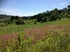 Villa Vale D Azenha - Country House