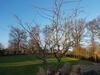 Apartamentos Appartement Gartenblick
