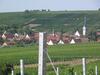 Apartamento Weingut-ferienhof Sch�fer