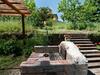 Cozy Villa In Graffignano Italy With Swimming Pool
