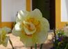 Hostal Mira Vila By Stay In Alentejo