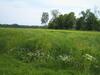 Gutshof Tda-lohma