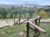 Le Belle Marche Country House
