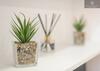 Studio Apartments By Lyter Living Serviced Accommodation With Desks & Wifi