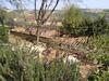 Agroturismo Barbagianni