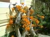Bed & Breakfast Pension D'avignon