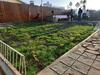 Hotel Rafiki House