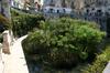 Apartamento Sole D'ortigia