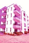 Vacation Rental Home Apartment