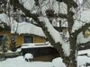 Apart Kofler's Panorama-zillertal