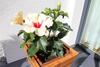 Apartamento Ambiente