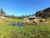 Apartamento Ferienwohnungen Seraphine Und Theresia