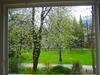 Apartamento Ferienwohnung Am Ortenaupark