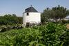 Bed & Breakfast Ol� Bel�m! Cozy Windmill, Stunning Views To Lisboa