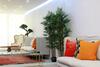 Apartamento Quiet And Relaxing Apt. Near The Ocean
