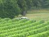 Bed & Breakfast Ch�teau Richelieu