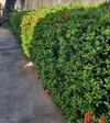 Hostal Su�te 08 - Aconchegante E Exclusiva