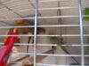 Apartamento N�dash�z