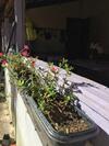 Hostal Casar�o Dom Bispo