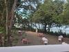 Hostal Vila Da Pipa Su�tes