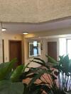 Apartamento Excelente Departamento En Plena Ciudad , Un Oasis