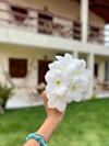 Hostal Su�te Das Flores Em Guajiru