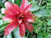 Sitio Nazar�